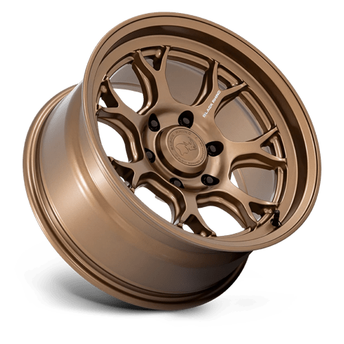Black Rhino Wheels – ETOSHA 17X8.5 6X4.5 66 +20 M-BRNZ